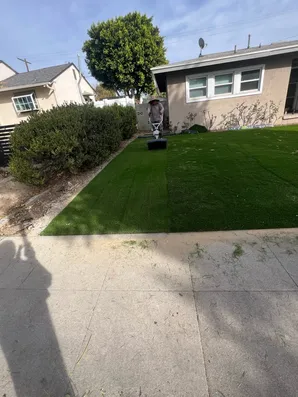 Artificial Turf Project-18
