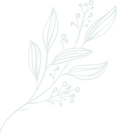 leaft